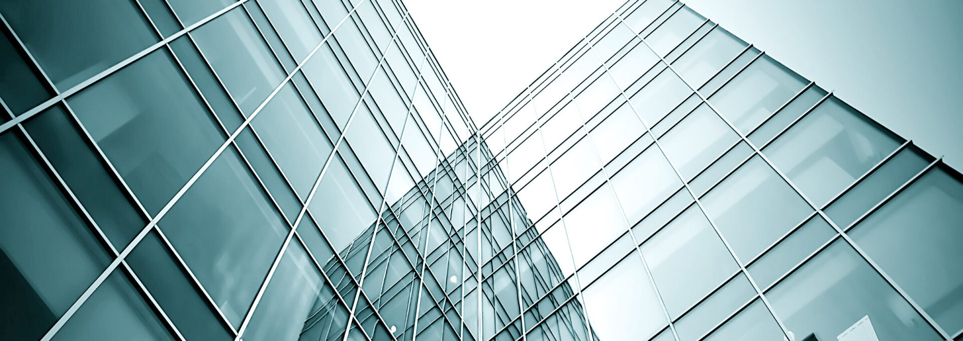 O Národní rozvojové investiční